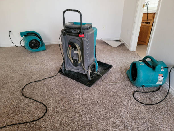 Best Water damage restoration near me  in North Valley Stream, NY