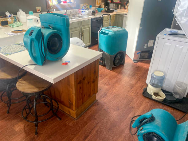 Water damage restoration insurance claims in North Valley Stream, NY