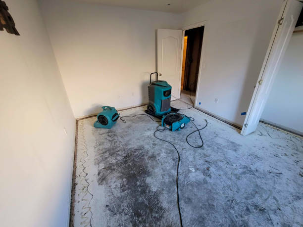 Best Sewage cleanup and water damage restoration  in North Valley Stream, NY