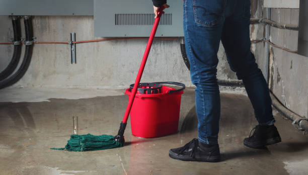 Best Flooded house restoration  in North Valley Stream, NY