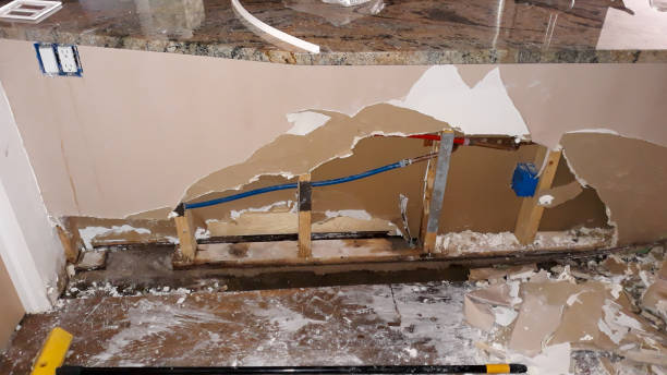 Best Water damage cleanup near me  in North Valley Stream, NY