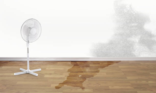 Best 24-hour water damage restoration  in North Valley Stream, NY