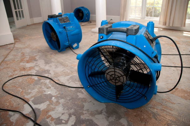 Best Ceiling water damage repair  in North Valley Stream, NY