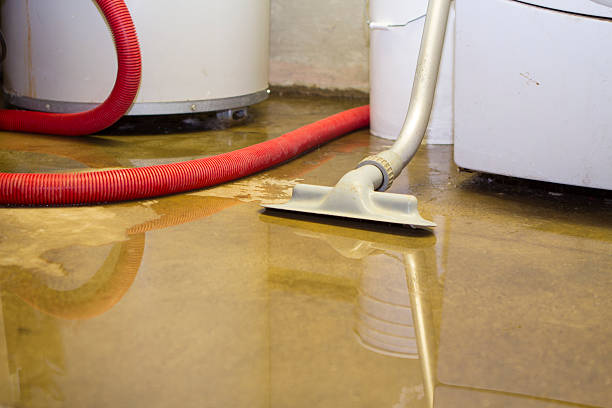 Professional Water damage restoration in North Valley Stream, NY