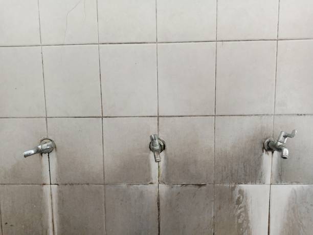 Best 24-hour water damage restoration  in North Valley Stream, NY