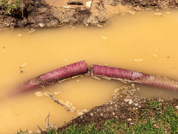  North Valley Stream, NY Water damage restoration Pros